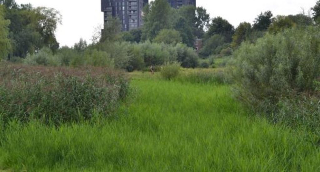 stadsecologie foto WUR.NL