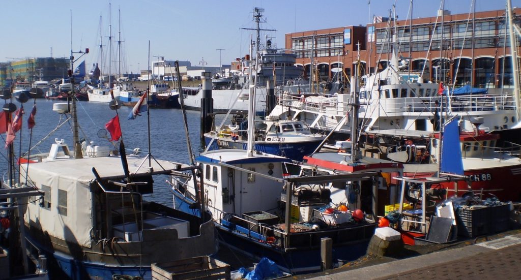 Scheveningen haven