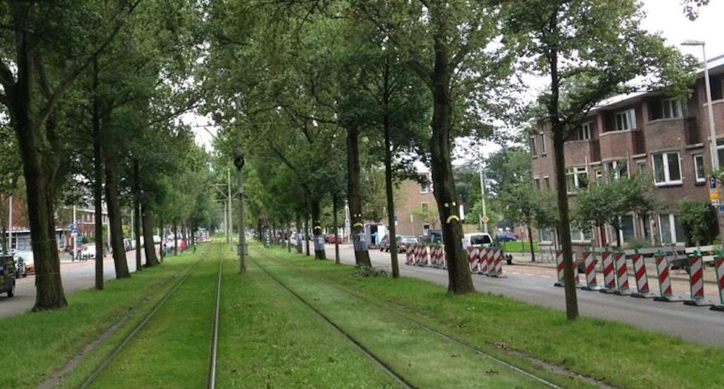 Bomen Laan van Meerdervoort